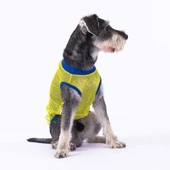 PawStar Super Hero Mesh T-Shirt - 2
