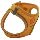 PawStar Gold Airmesh Köpek Göğüs Tasması - 3