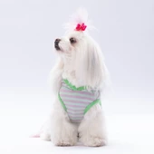 PawStar Mint Sunny Kapşonlu T-Shirt - 3