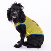 PawStar Life Is Good Mesh T-Shirt thumbnail 2