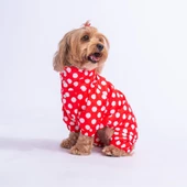 PawStar Kırmızı Puantiyeli Tulum Yağmurluk Küçük ve Orta Irk - 2
