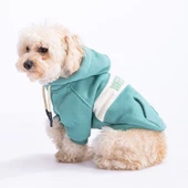 PawStar Yeşil Cute Hoodie Küçük ve Orta Irk thumbnail 2