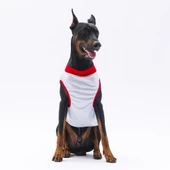 PawStar Gri Summer Büyük Irk T-Shirt - 2