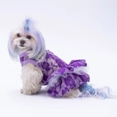 PawStar Mor Rosa Elbise - 1