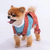 PawStar Kırmızı 2'li Denim Salopet Küçük ve Orta Irk Tulum - 1