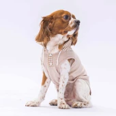 PawStar Bej Gingham Kapşonlu Polo T-Shirt - 2