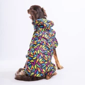 PawStar Plumis  Büyük Irk Yağmurluk - 1