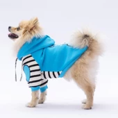 PawStar Turkuaz Lucky Club Hoodie Küçük ve Orta Irk thumbnail 3