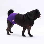 PawStar Düz Renkler 1 Çamaşır (Paket de Farklı  Renkte 3 Adet Bulunur) thumbnail 1