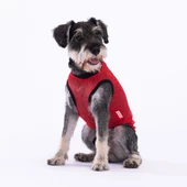 PawStar Smile Mesh T-Shirt - 2