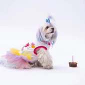 PawStar Happy Birthday Elbise thumbnail 1