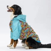 PawStar Hollywood Büyük Irk Yağmurluk - 2