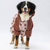 PawStar Colorado Büyük Irk Tulum Yağmurluk - 3