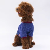 PawStar Mavi Everything Will Be Okay Küçük Irk Sweat - 2