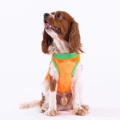 PawStar Cactus Mesh T-Shirt thumbnail 2