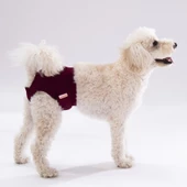 PawStar Düz Renkler 2 Çamaşır (Paket de Farklı  Renkte 3 Adet Bulunur) - 1