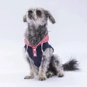 PawStar Lacivert Gingham Kapşonlu Polo T-Shirt - 3