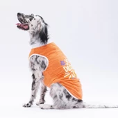 PawStar Turuncu Joy Büyük Irk T-Shirt - 2
