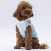 PawStar Mint Joy T-Shirt - 2