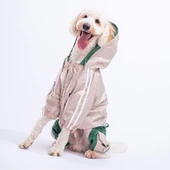 PawStar Bej - Yeşil  BiColar  Büyük Irk Yağmurluk - 3