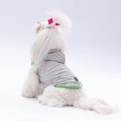 PawStar Mint Sunny Kapşonlu T-Shirt - 1
