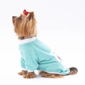 PawStar Mint Fun Day Küçük Irk Sweat - 2