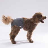 PawStar Düz Renkler 2 Çamaşır (Paket de Farklı  Renkte 3 Adet Bulunur) - 4