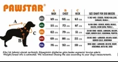 PawStar Mint Sunrise Büyük Irk T-Shirt - 6