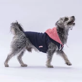 PawStar Lacivert Gingham Kapşonlu Polo T-Shirt - 2