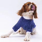 PawStar Mavi Fun Day Küçük Irk Sweat - 2