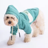 PawStar Yeşil Cute Hoodie Küçük ve Orta Irk thumbnail 3