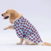 PawStar Bear Desenli Büyük Irk Gömlek - 3