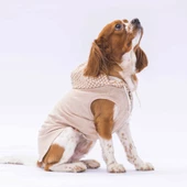 PawStar Bej Gingham Kapşonlu Polo T-Shirt - 1