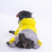 PawStar Sarı Gri Bicolor Tulum Yağmurluk Küçük ve Orta Irk - 2