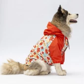 PawStar Ottawa Büyük Irk Yağmurluk thumbnail 1