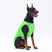 PawStar Yeşil Travel Büyük Irk T-Shirt - 2
