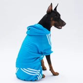 PawStar Turkuaz Tuta Büyük Irk Tulum - 1