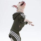 PawStar Haki Tuta Tulum Küçük ve Orta Irk - 2