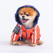 PawStar Turuncu Lacivert Bicolor Tulum Yağmurluk Küçük ve Orta Irk - 4