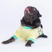 PawStar Limon Dino Star Sweat Küçük ve Orta Irk Sweat - 3