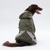 PawStar Haki Tuta Büyük Irk Tulum - 1