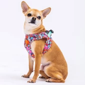 PawStar  Airmesh Balloons Göğüs Tasması thumbnail 4