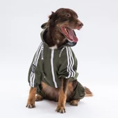 PawStar Haki Tuta Büyük Irk Tulum - 3