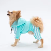 PawStar Aqua Tuta Tulum Küçük ve Orta Irk - 2