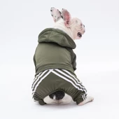 PawStar Haki Tuta Tulum Küçük ve Orta Irk - 1