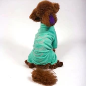 PawStar Mint Smile Tulum Küçük ve Orta Irk - 1