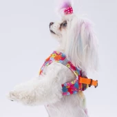 PawStar  Airmesh Monsters Göğüs Tasması - 3