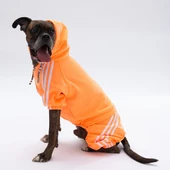 PawStar Turuncu Tuta Büyük Irk Tulum - 2