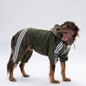 PawStar Haki Tuta Büyük Irk Tulum - 2