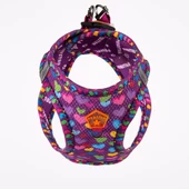 PawStar  Airmesh Hearts Göğüs Tasması - 3